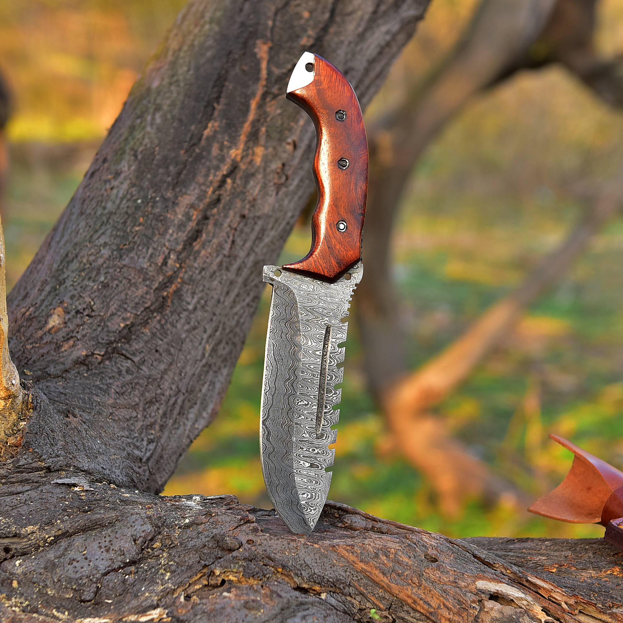 10" Handmade Damascus steel Hunting knife ideal tracker full tang with leather sheath - Image 3