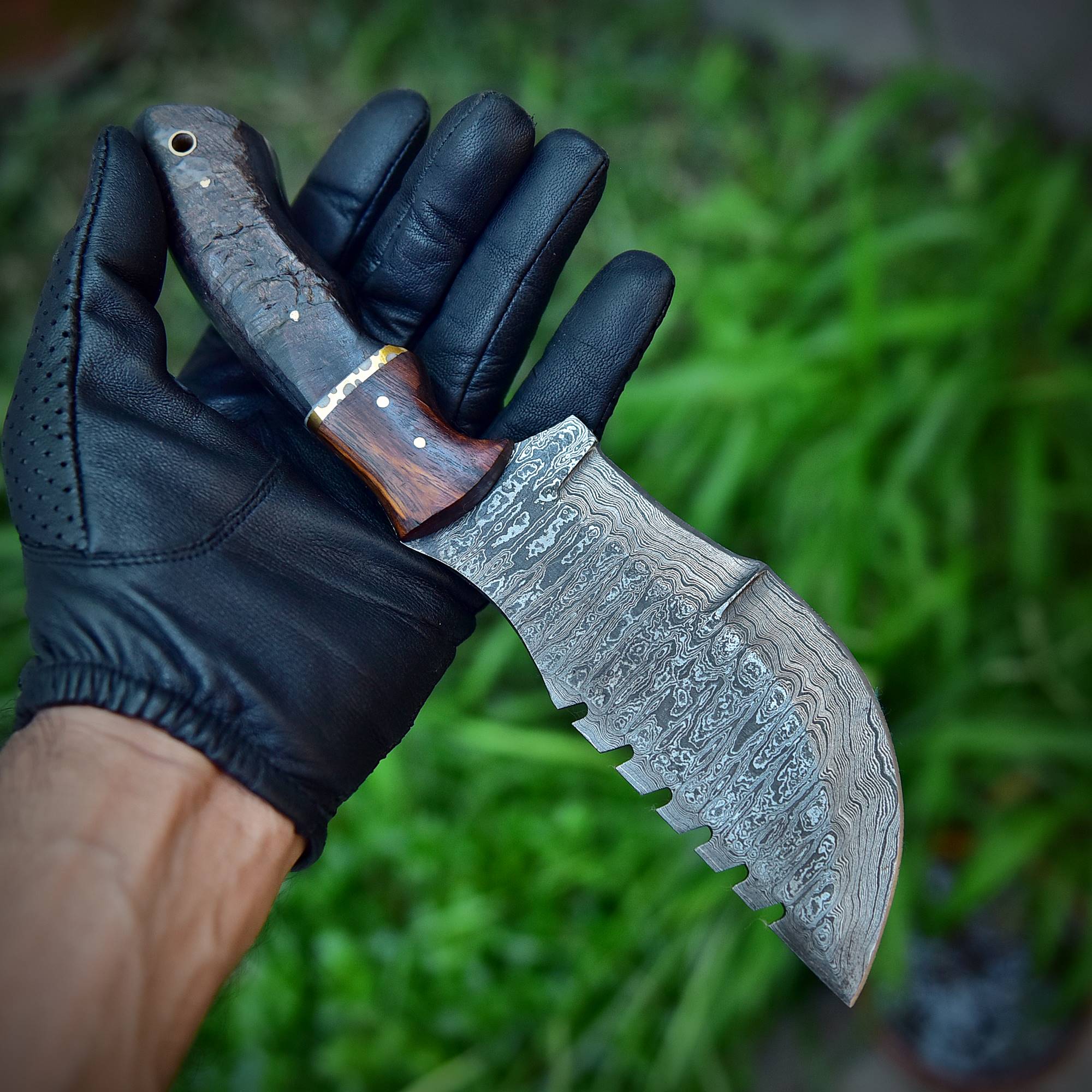 10" Handmade Damascus Steel Hunting Tracker Knife With Ram Horn & Cocobolo Wood Handle - Image 5