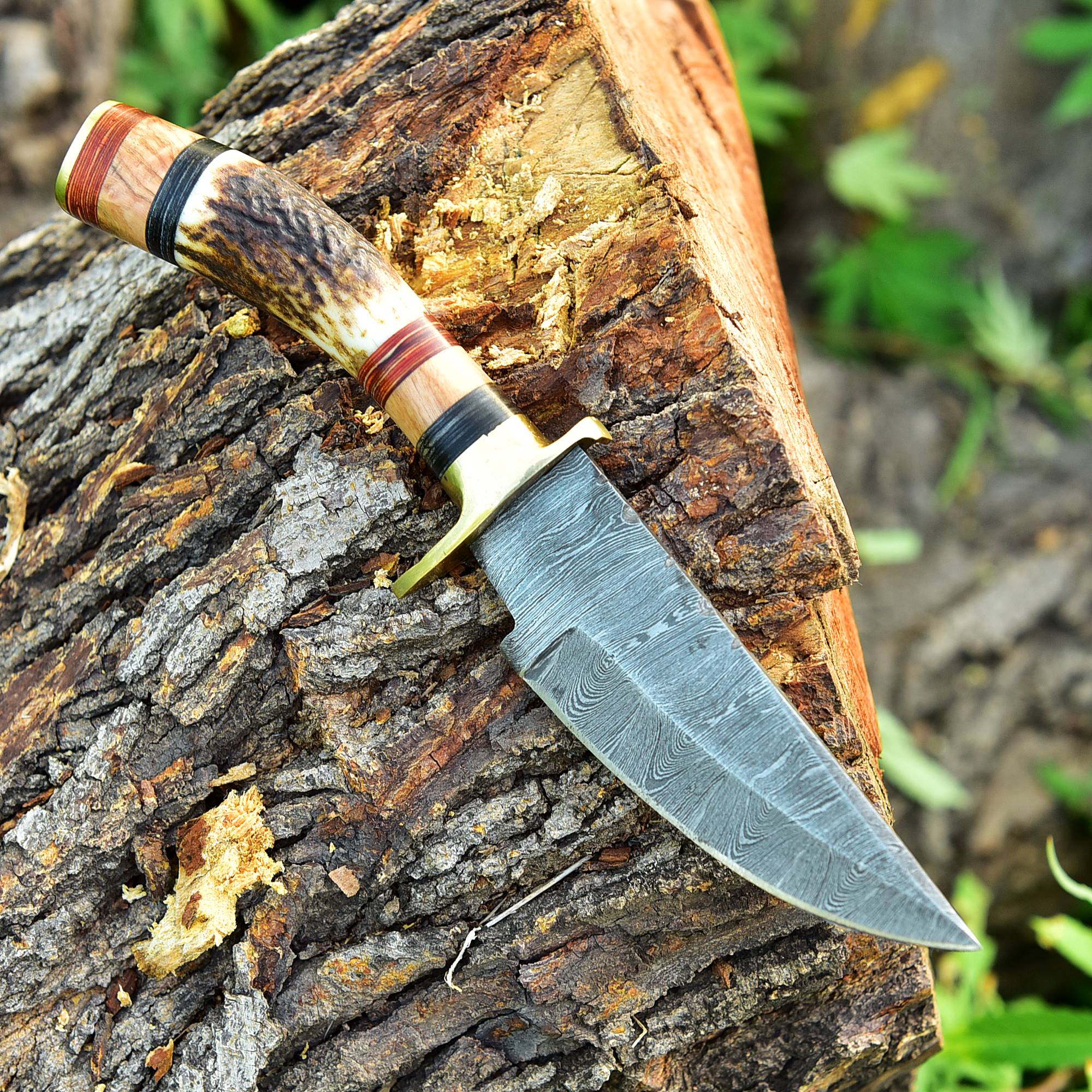 Damascus Steel Fixed Blade Hunting Skinning Knife Deer Stag Handle x-427 - Image 3