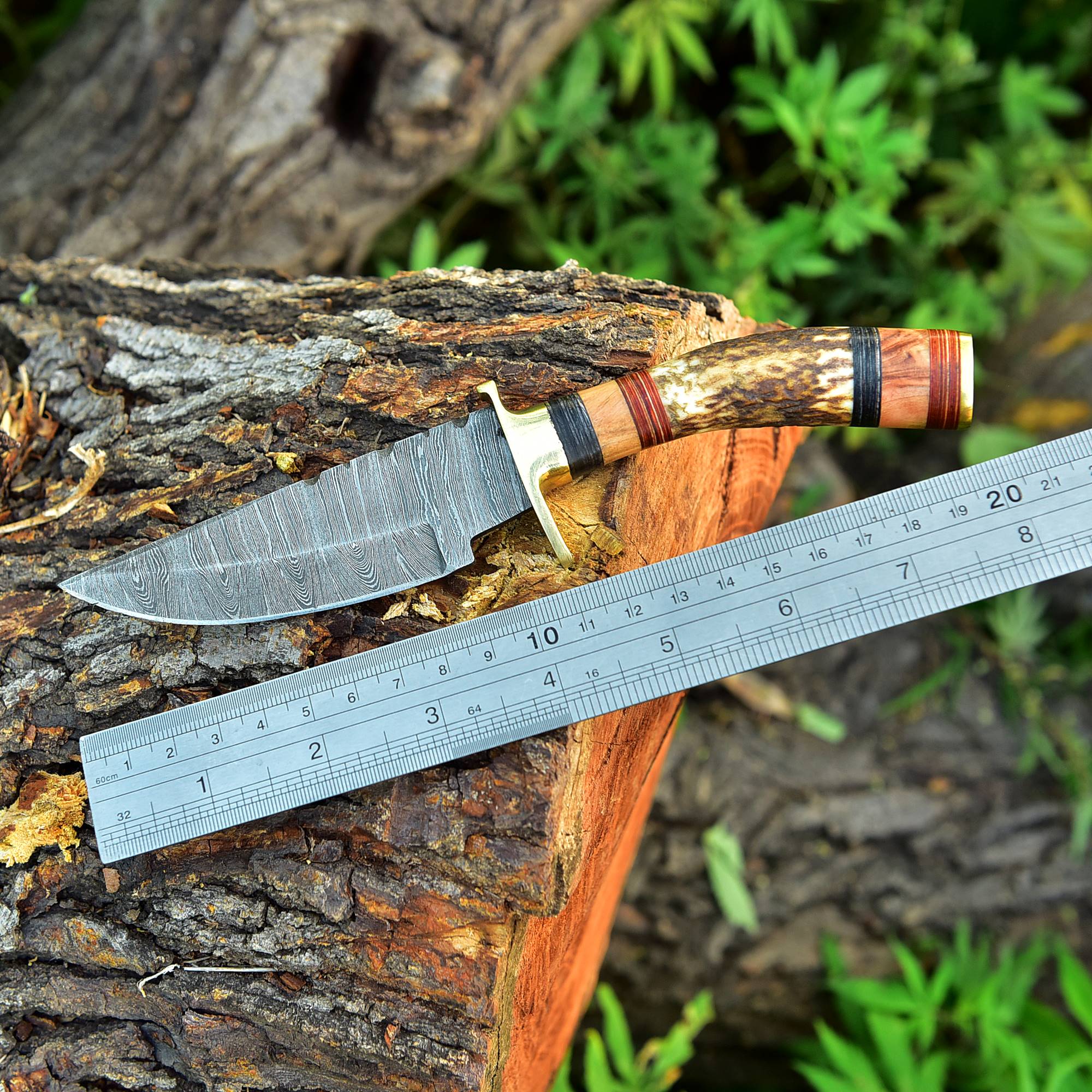 Damascus Steel Fixed Blade Hunting Skinning Knife Deer Stag Handle x-427 - Image 4
