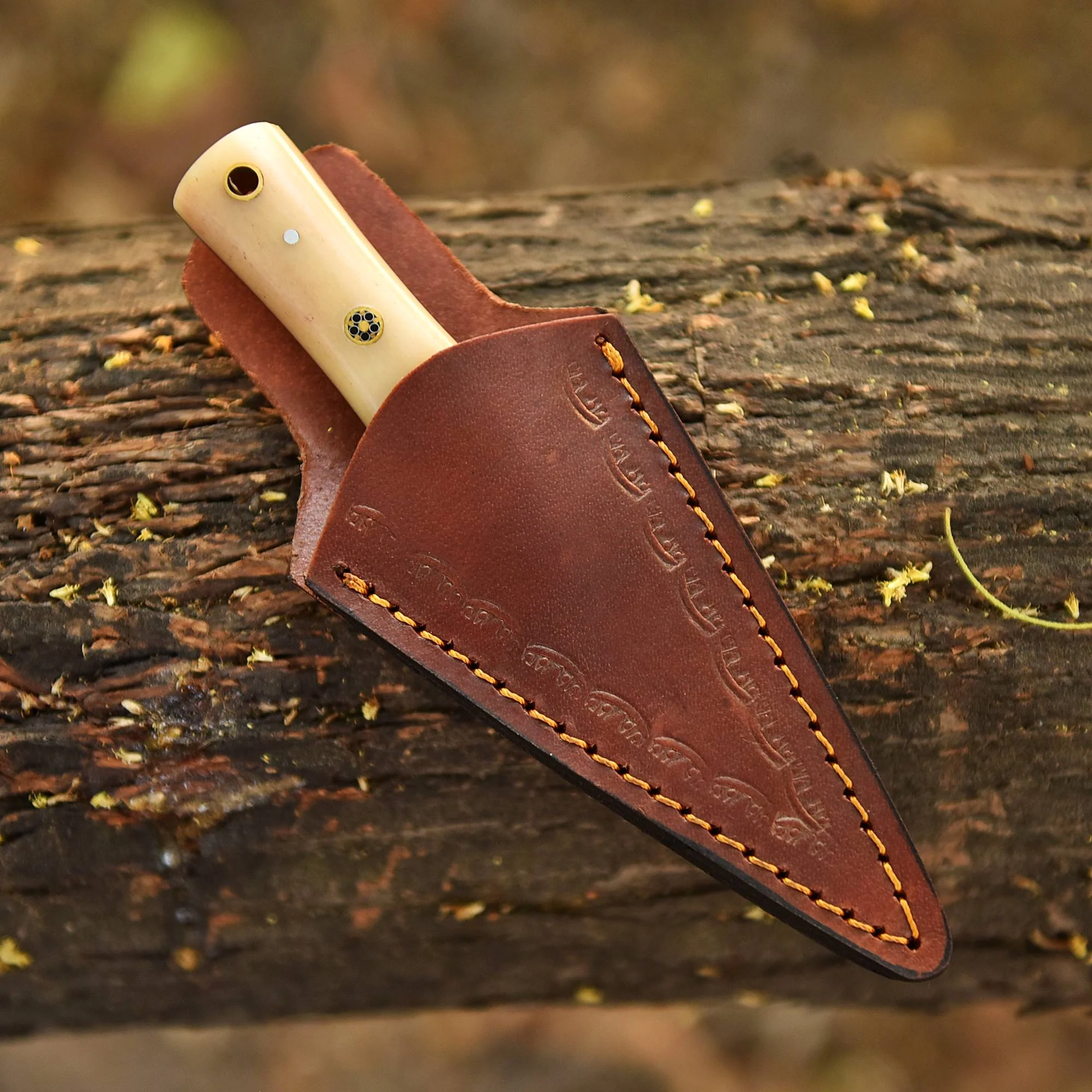 Elite Luxury Handmade Damascus Blade Dagger Knife Camel Bone Handle - Image 5