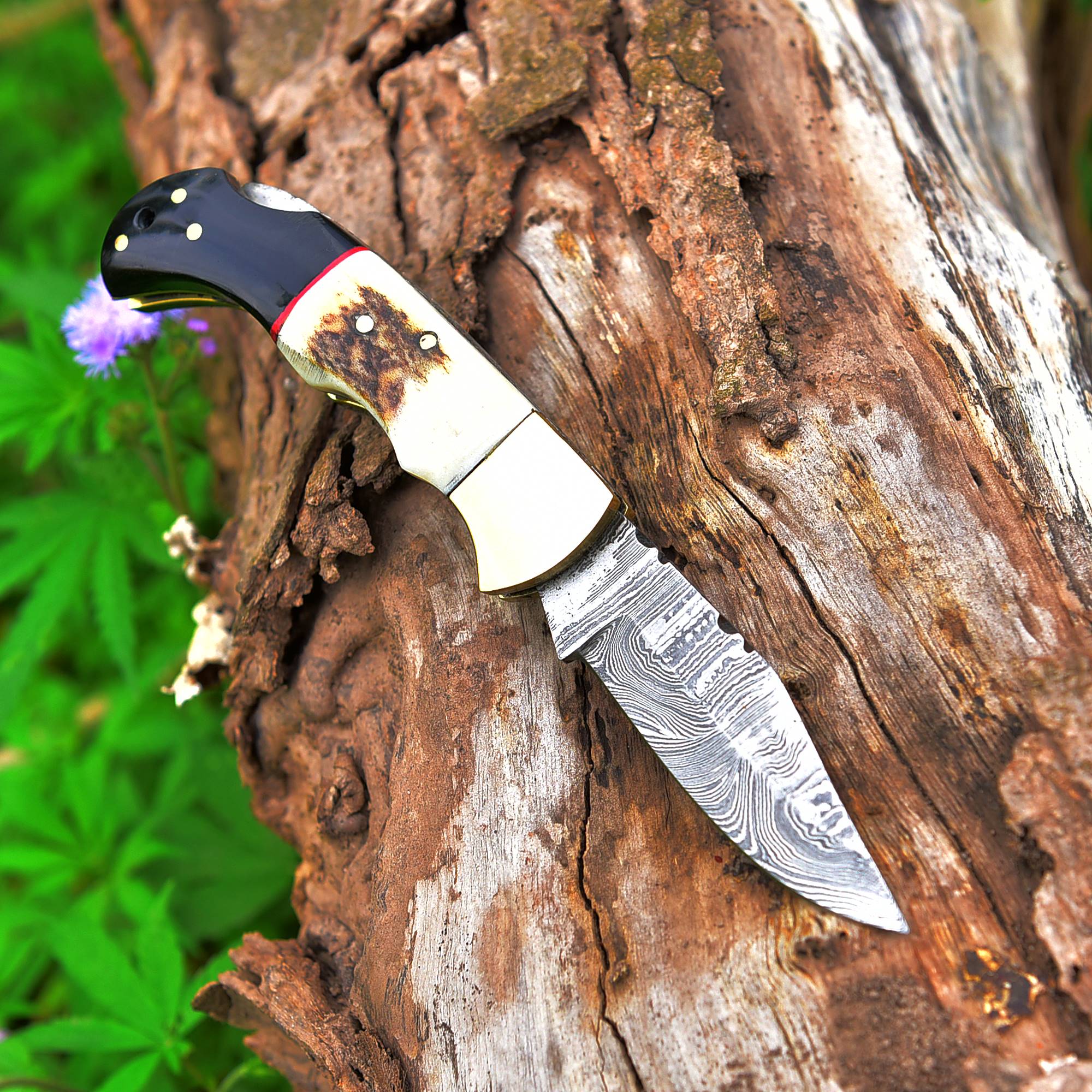 Handmade Damascus Steel Hunting Pocket Folding Knife with BackLock - Camping Folding Blade With Stag & Wood Handle - Image 3