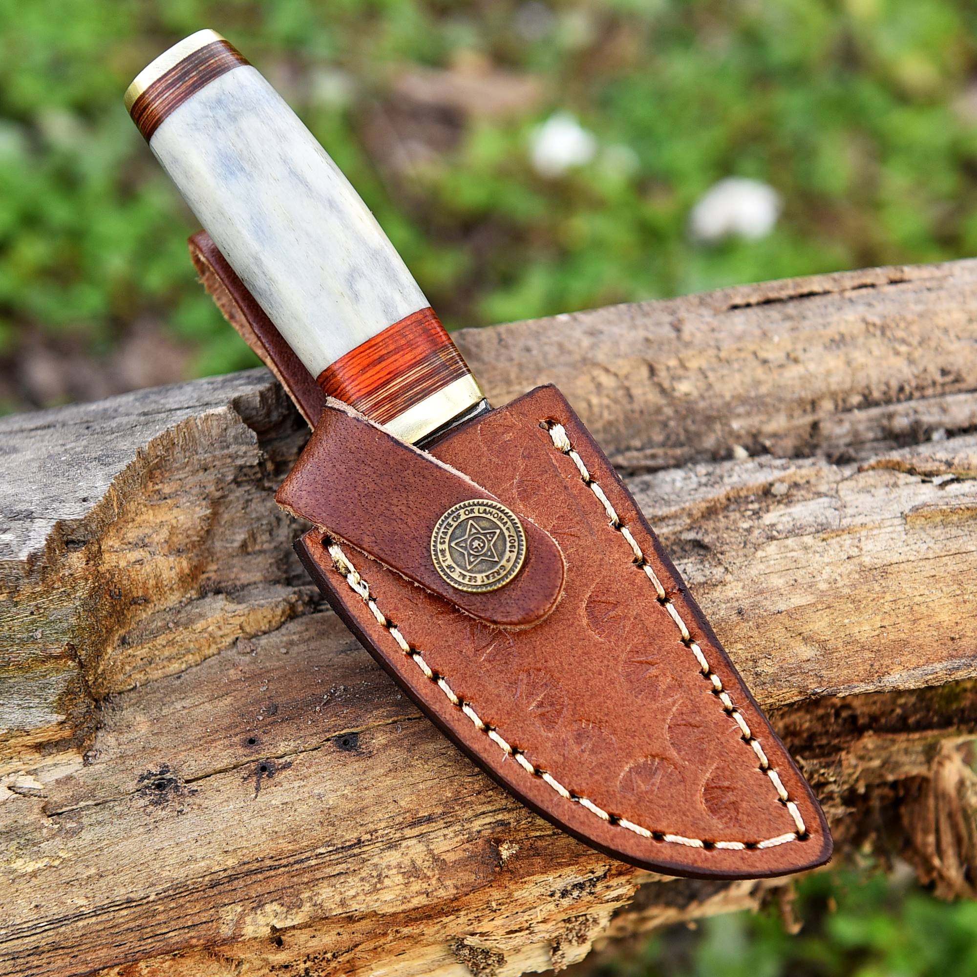 Handmade Damascus Steel Skinner Knife - Camel Bone Handle - 5.5" Full Tang Damascus Knife x-748 - Image 5