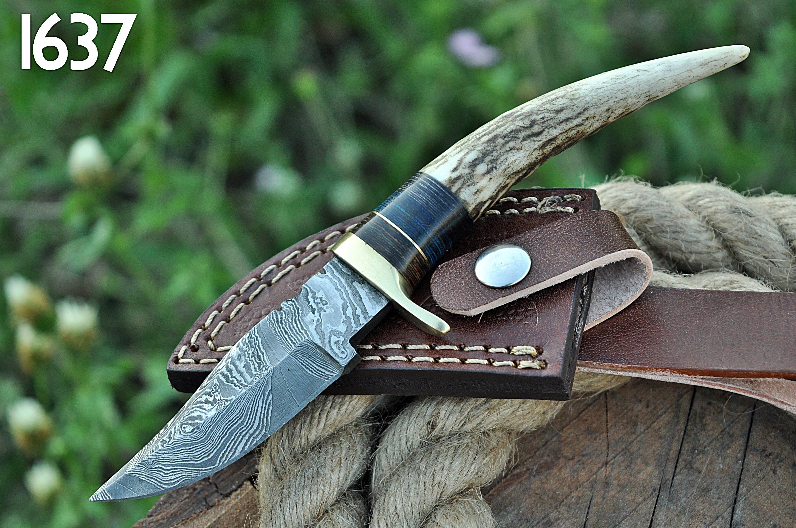 Miniature Knife Damascus Steel Fixed Blade Skinner Stag Antler Handle with Sheath - Image 7