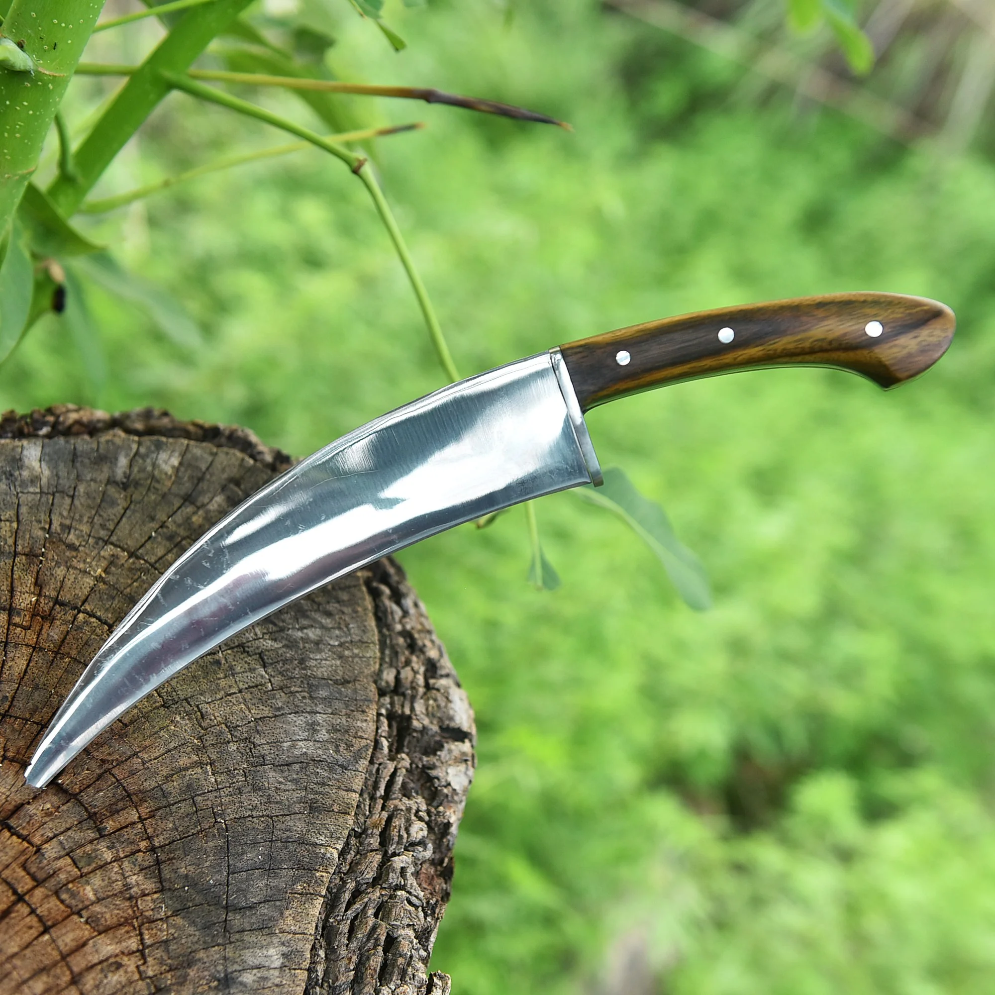 Premium Hand Crafted Curved Carbon Steel Karambit Fixed Blade Knife - Image 4