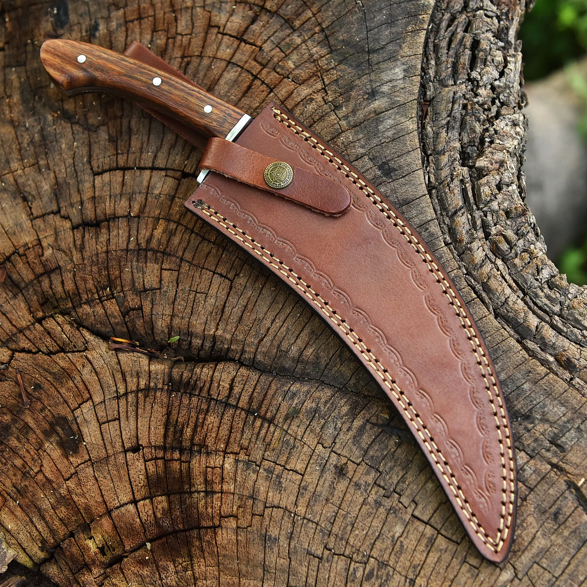 Premium Hand Crafted Curved Carbon Steel Karambit Fixed Blade Knife - Image 5