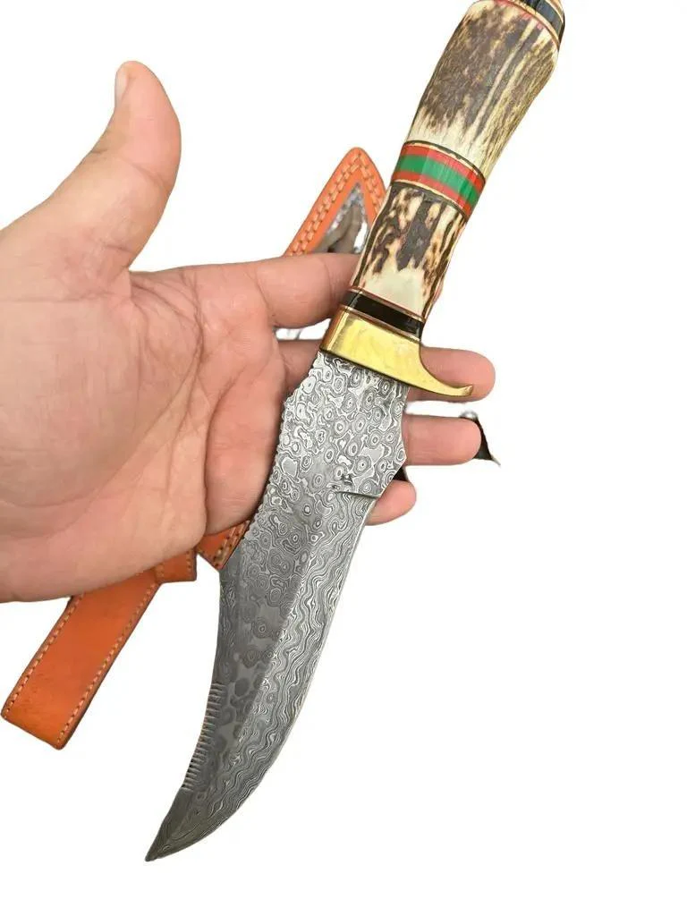Premium Quality Handmade Damascus Steel Fixed Blade Bowie knife Stag Handle Brass Guard - Image 4