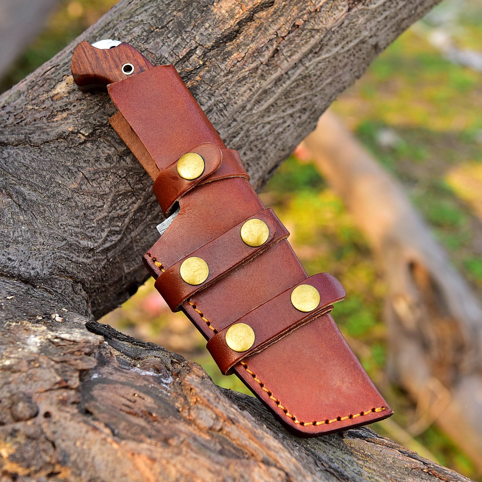 Tom Tracker Knife Forged Damascus Fixed Blade Hunting Skinning Knife Bull Cutter with Vertical Sheath - Image 9